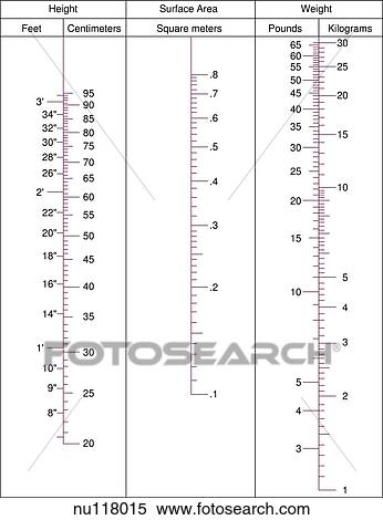 A Nomogram へ 見積もり 体 表面 Area へ 使用 ドロー A