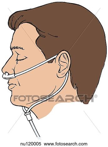 the nasal cannula