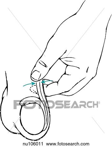Clip Art - Image showing procedure for self examination of testes. Epididymis and spermatic cord of left testicle are palpated between thumb and fingers.. Fotosearch