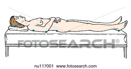 Lateral view of woman lying supine on bed, legs extended, arms resting on abdomen. View Large Illustration Clip Art - Lateral view of woman lying supine on bed, legs extended, arms resting on abdomen.. Fotosearch