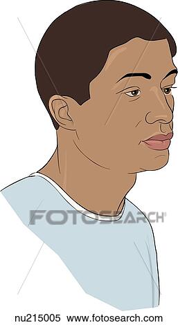 Stock Illustration - External view of head of adult African American male.. Fotosearch