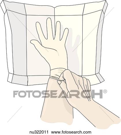 Left hand has been inserted into glove, right hand pulls glove on with cuff folded. View Large Illustration Clip Art - Left hand has been inserted into glove, right hand pulls glove on with cuff folded.. Fotosearch