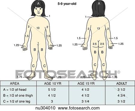 Clipart - Outline of child's body with areas and percentages indicated to calculate total burn surface area. Left: anterior view. Right: posterior view.. Fotosearch