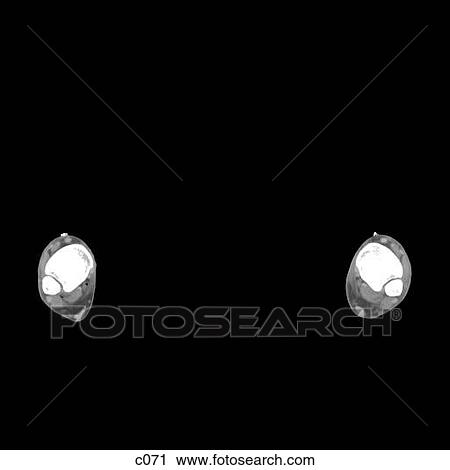 Legs - Feet View Large Illustration Clip Art - Legs - Feet. Fotosearch
