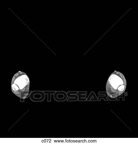 Drawing - Legs - Feet. Fotosearch