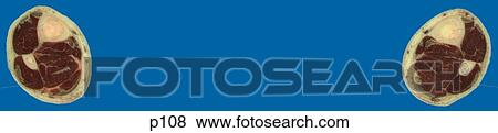 Stock Illustration - Legs - Feet. Fotosearch