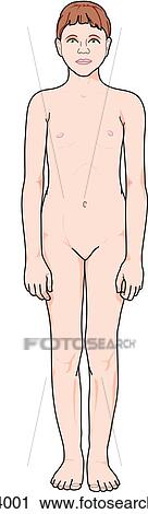 Clip Art - Anterior view of female child, in near anatomical position.. Fotosearch