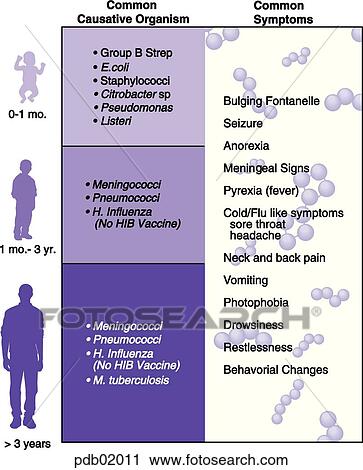 Clip Art - Chart showing causes and symptoms of meningitis.. Fotosearch