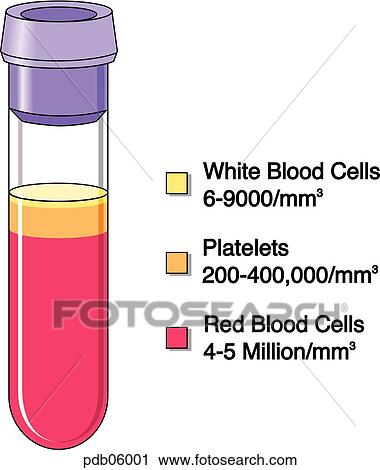 Diagram showing blood components. View Large Illustration Clip Art - Diagram showing blood components.. Fotosearch