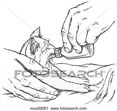 Clip Art - Bottle feeding, kitten. Fotosearch