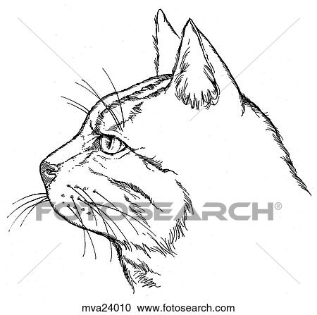 Head, feline View Large Illustration Clipart - Head, feline. Fotosearch