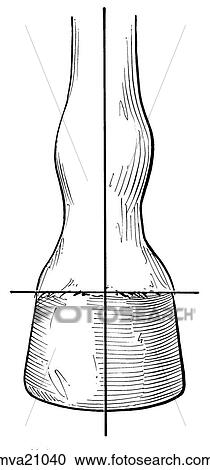 Clipart - Hoof balance, equine. Fotosearch