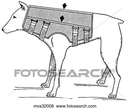 Neck brace, canine View Large Illustration Stock Illustration - Neck brace, canine. Fotosearch