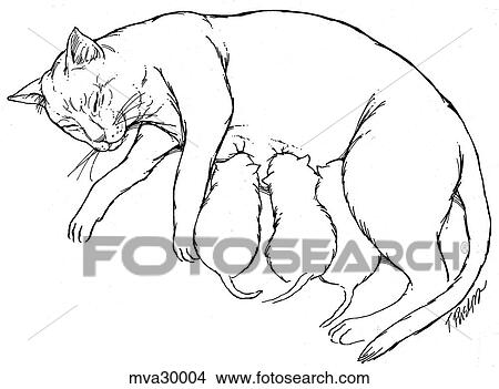 Nursing, kittens View Large Illustration Stock Illustration - Nursing, kittens. Fotosearch