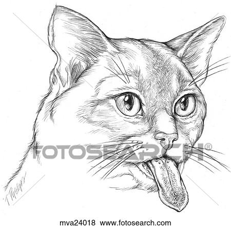 Tongue, feline View Large Illustration Stock Illustration - Tongue, feline. Fotosearch