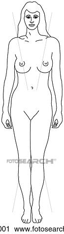 Clip Art - Adult female figure. Fotosearch