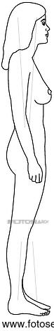 Adult female figure View Large Illustration Drawing - Adult female figure. Fotosearch