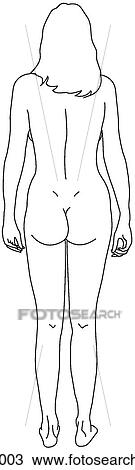 Adult female figure View Large Illustration Drawing - Adult female figure. Fotosearch