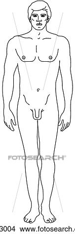 Adult male figure View Large Illustration Stock Illustration - Adult male figure. Fotosearch