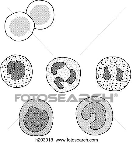 Blood cells View Large Illustration Stock Illustration - Blood cells. Fotosearch