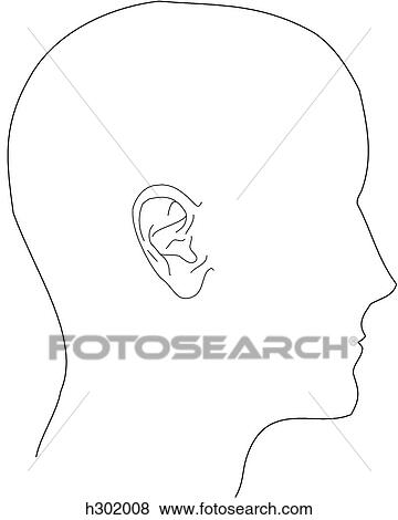 Stock Illustration - Ear, external. Fotosearch