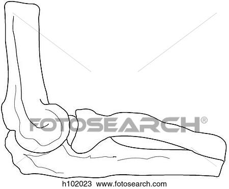 Elbow View Large Illustration Drawing - Elbow. Fotosearch
