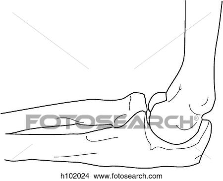 Stock Illustration - Elbow. Fotosearch