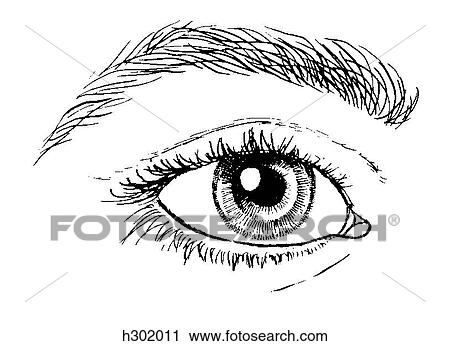 Clip Art - Eye, external. Fotosearch