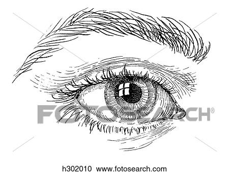 Clipart - Eye, external. Fotosearch