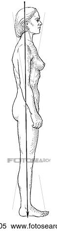 Female View Large Illustration Stock Illustration - Female. Fotosearch