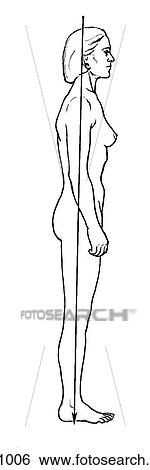 Female View Large Illustration Stock Illustration - Female. Fotosearch