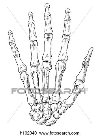 Hand View Large Illustration Clipart - Hand. Fotosearch