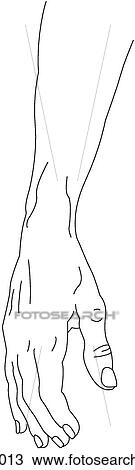 Hand & forearm, resting position View Large Illustration Drawing - Hand & forearm, resting position. Fotosearch