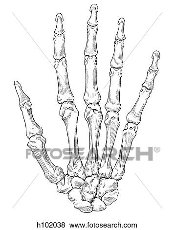 Hand View Large Illustration Stock Illustration - Hand. Fotosearch