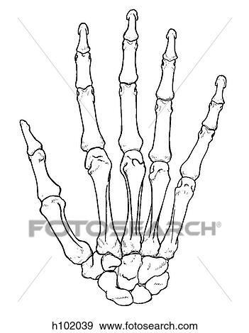 Hand View Large Illustration Stock Illustration - Hand. Fotosearch