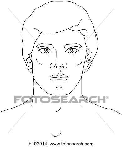 Stock Illustration - Head & neck of adult male. Fotosearch