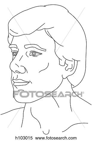 Stock Illustration - Head & neck of adult male. Fotosearch