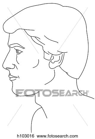Stock Illustration - Head & neck of adult male. Fotosearch