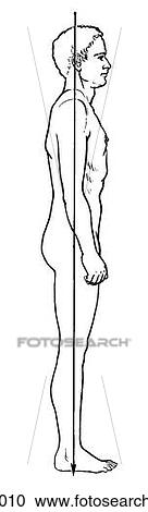 Male View Large Illustration Clipart - Male. Fotosearch