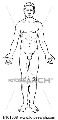 Stock Illustration - Male. Fotosearch