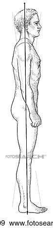 Male View Large Illustration Stock Illustration - Male. Fotosearch