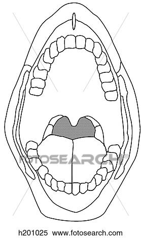 Open mouth View Large Illustration Stock Illustration - Open mouth. Fotosearch