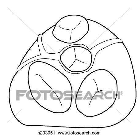 Valves of heart & origin of coronary arteries View Large Illustration Clip Art - Valves of heart & origin of coronary arteries. Fotosearch