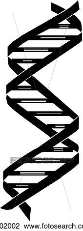 DNA View Large Illustration Drawing - DNA. Fotosearch