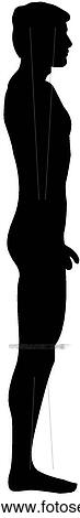 Male 2 View Large Illustration Stock Illustration - Male 2. Fotosearch