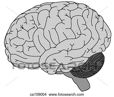 Brain View Large Illustration Stock Illustration - Brain. Fotosearch