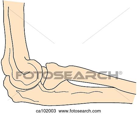 Elbow Drawing | ca102003 | Fotosearch