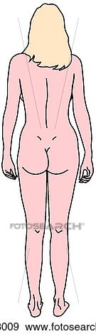 Female figure, adult View Large Illustration Stock Illustration - Female figure, adult. Fotosearch