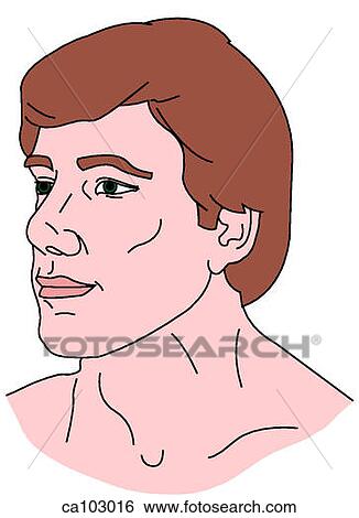Head and neck of adult male View Large Illustration Stock Illustration - Head and neck of adult male. Fotosearch