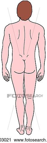 Male figure, adult View Large Illustration Clip Art - Male figure, adult. Fotosearch